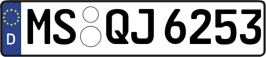 MS-QJ6253