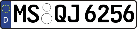 MS-QJ6256