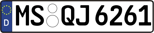 MS-QJ6261