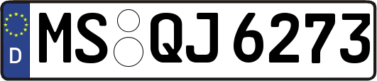 MS-QJ6273