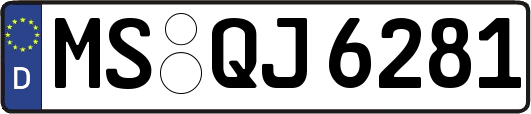 MS-QJ6281
