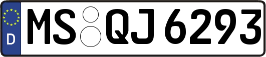 MS-QJ6293