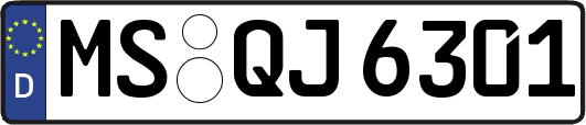 MS-QJ6301