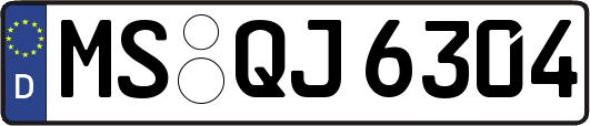 MS-QJ6304