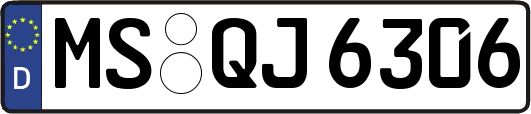 MS-QJ6306