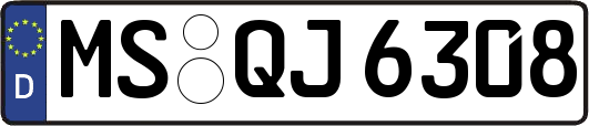MS-QJ6308