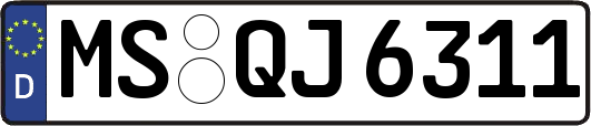 MS-QJ6311