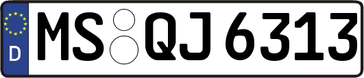 MS-QJ6313