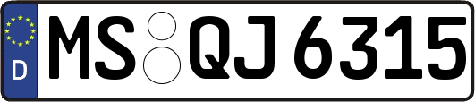 MS-QJ6315