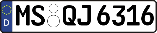 MS-QJ6316