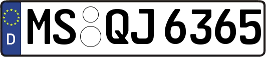 MS-QJ6365