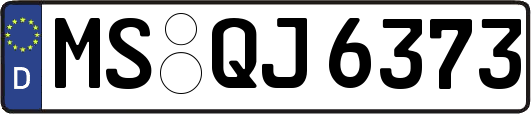 MS-QJ6373