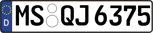MS-QJ6375