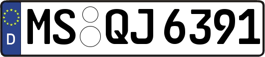 MS-QJ6391