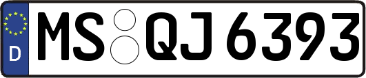 MS-QJ6393