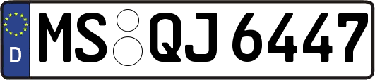 MS-QJ6447