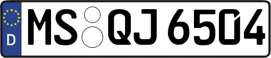 MS-QJ6504