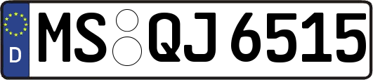 MS-QJ6515