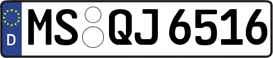 MS-QJ6516