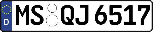 MS-QJ6517