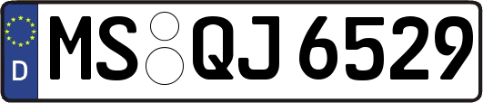 MS-QJ6529