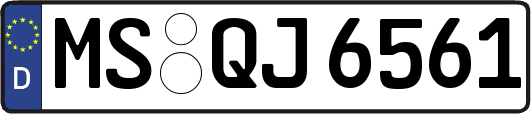 MS-QJ6561