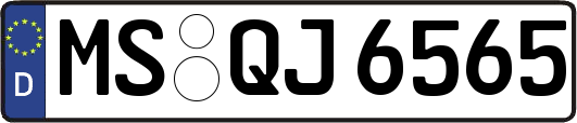 MS-QJ6565
