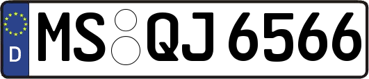 MS-QJ6566