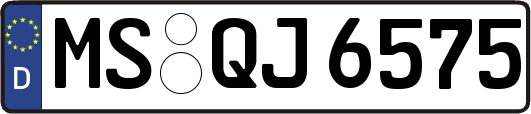 MS-QJ6575
