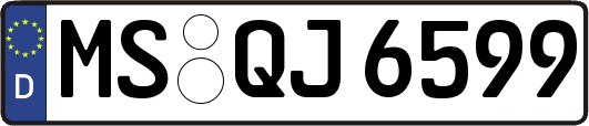 MS-QJ6599