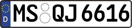 MS-QJ6616