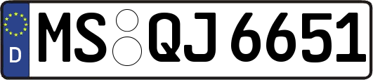 MS-QJ6651