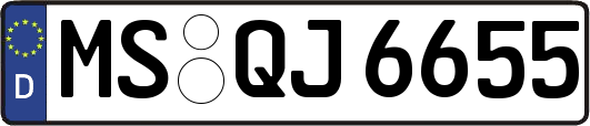 MS-QJ6655