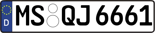 MS-QJ6661
