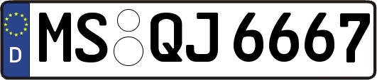 MS-QJ6667