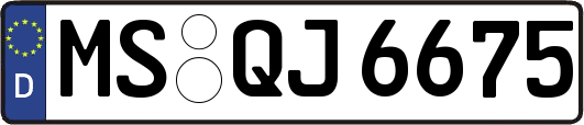 MS-QJ6675
