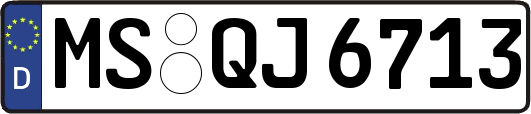 MS-QJ6713