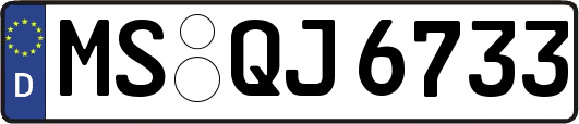 MS-QJ6733