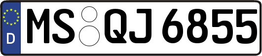 MS-QJ6855