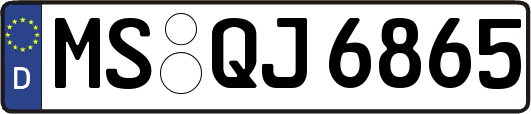 MS-QJ6865