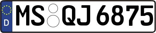 MS-QJ6875