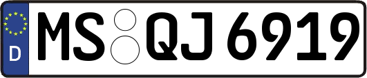 MS-QJ6919