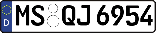 MS-QJ6954