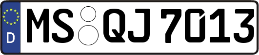 MS-QJ7013