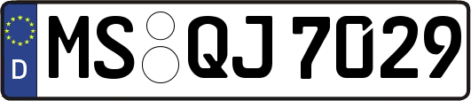MS-QJ7029