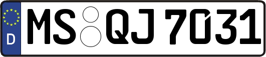 MS-QJ7031