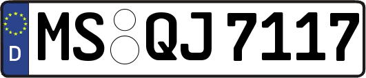MS-QJ7117