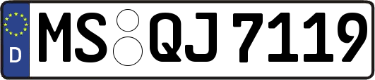 MS-QJ7119