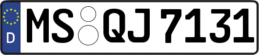 MS-QJ7131