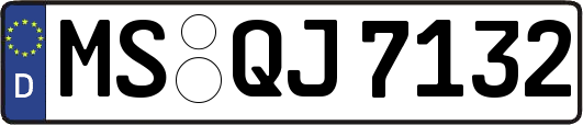 MS-QJ7132
